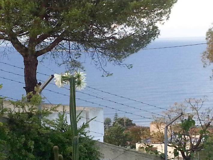 B&b per 6 persone, con Terrazza e Giardino nonché Piscina e Panorama a Morciano di Leuca