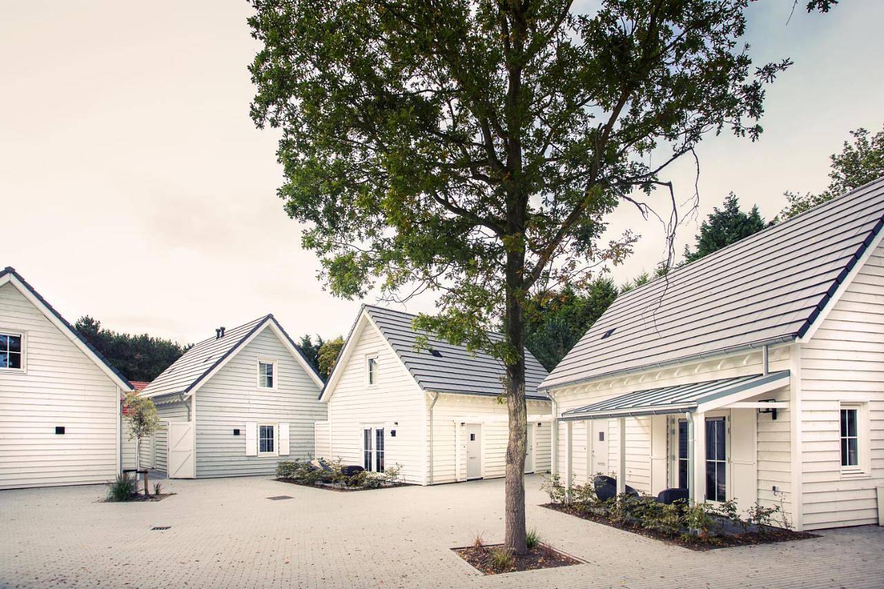 Geheel appartement, Dune Apartment Plus (No pets allowed) in Renesse Strand, Renesse
