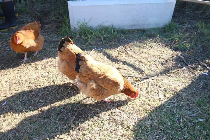 Maison d’hôte pour 2 personnes, avec jardin et vue dans Nouvelle-Zélande - 2