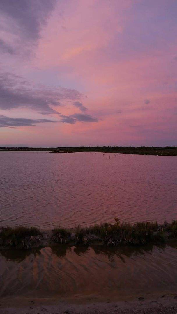 Location à la semaine au bord de la mer in Vic-la-Gardiole, Côte d'Améthyste