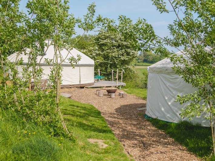 Glamping for 2 people, with garden in Dorset