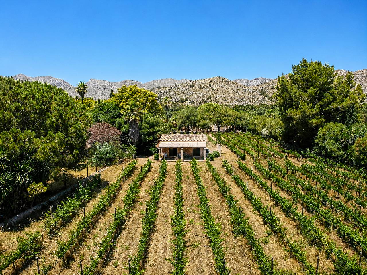 Landhaus, Parkplatz & Klimaanl. - 2 Pers., Bergblick in el Vilà, Pollença