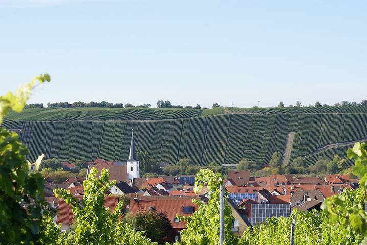 Weingut und Gästehof Borst - Helles Doppelzimmer mit Balkon und WLAN in Nordheim am Main, Fränkisches Weinland