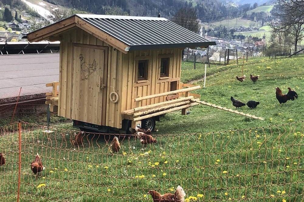 Feldlhof Appartement 2 Pers - Feldlhof in Schladming, Schladming-Dachstein