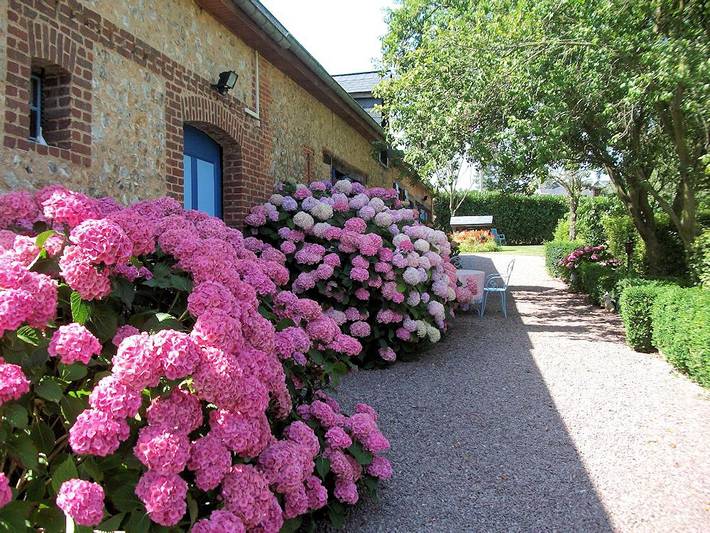 Chambre d’hôte pour 2 personnes, avec Jardin en Normandie