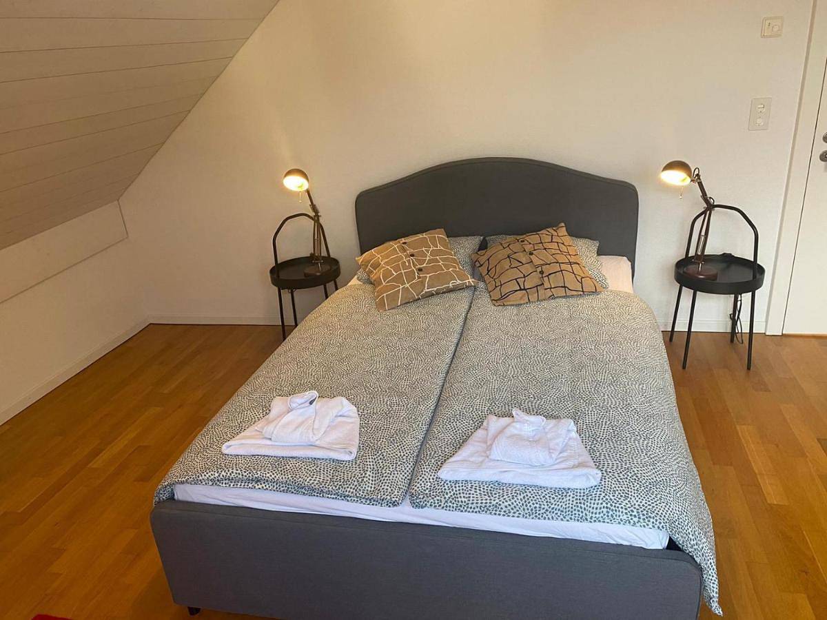 Appartement entier, Three-Bedroom Apartment in Perroy, Lac Léman