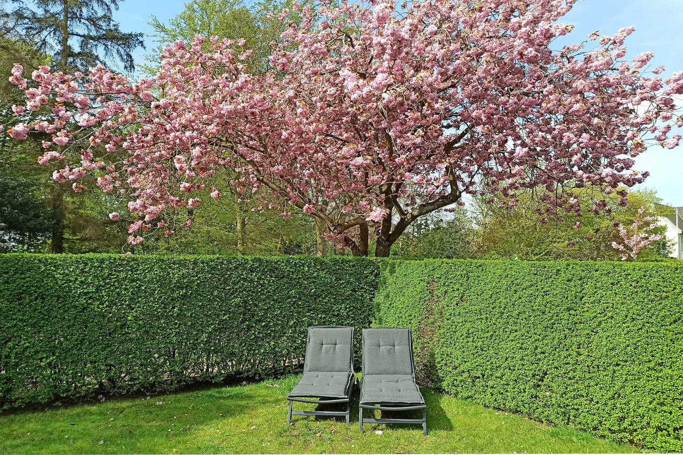 Ganze Ferienwohnung, Bi Sterni in Wyk auf Föhr (Stadt), Wyk auf Föhr