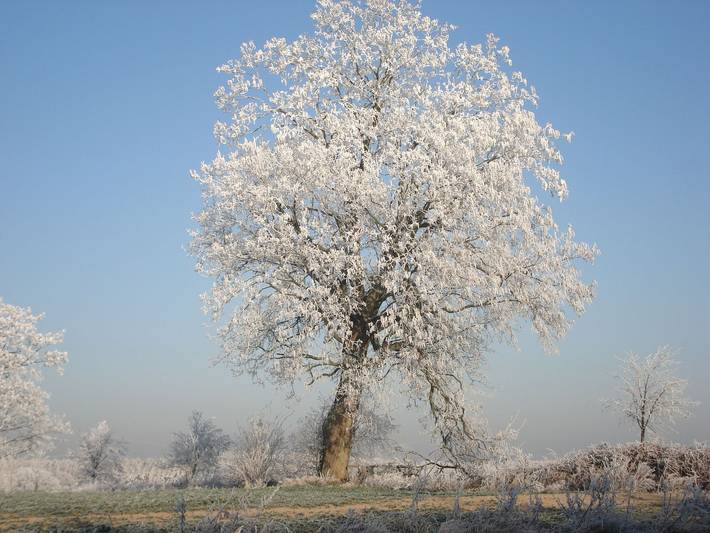Ferienwohnung für 3 Personen, mit Garten und Sauna sowie Seeblick und Terrasse am Fleesensee - 3