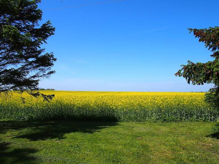 Ferienhaus für 4 Personen, mit Garten und Sauna in Gingst