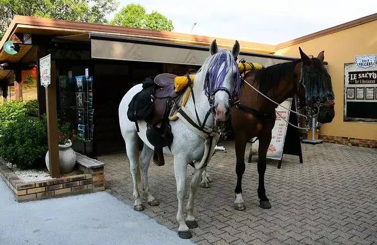 Mobil home pour 10 personnes, avec piscine à Châtel-Guyon - 4