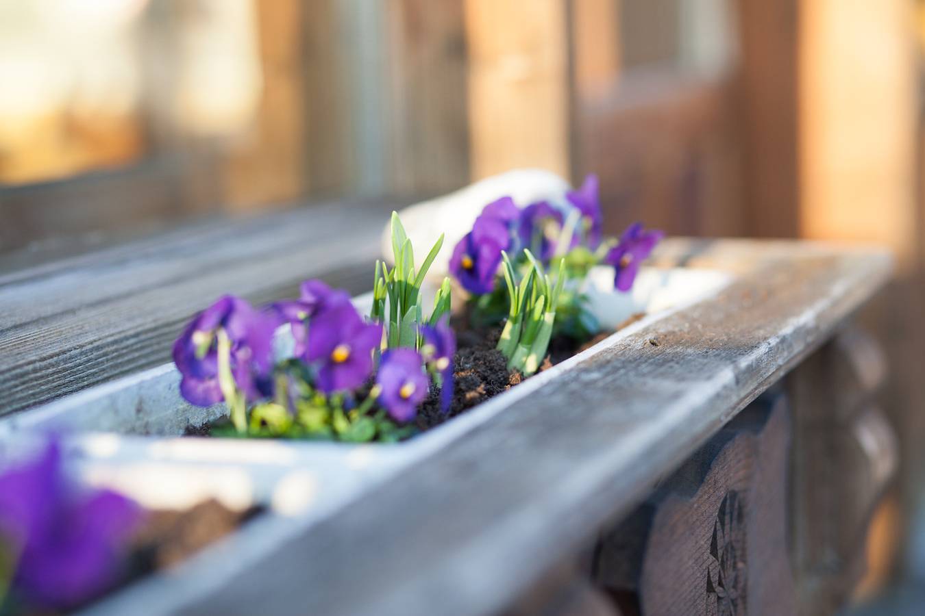 Hotel Schönau in Unterwasser, Wildhaus-Alt St. Johann