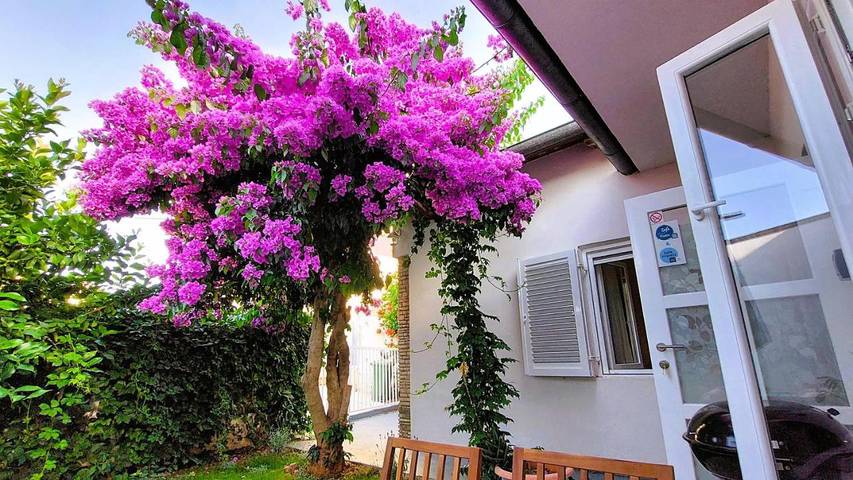 Casa de vacaciones para 5 personas, con jardín - 1