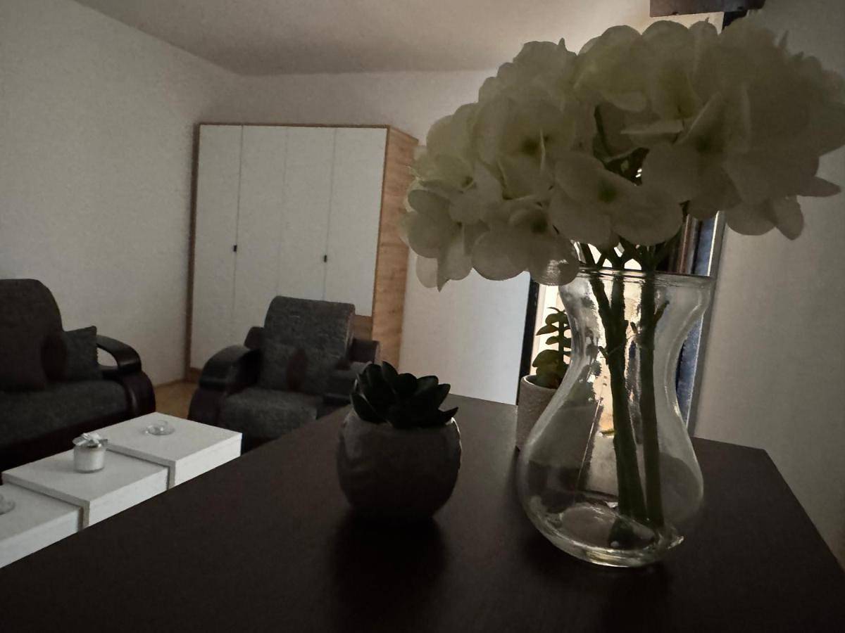 Appartement entier, One-Bedroom Apartment in Шабац, Mačva (district)