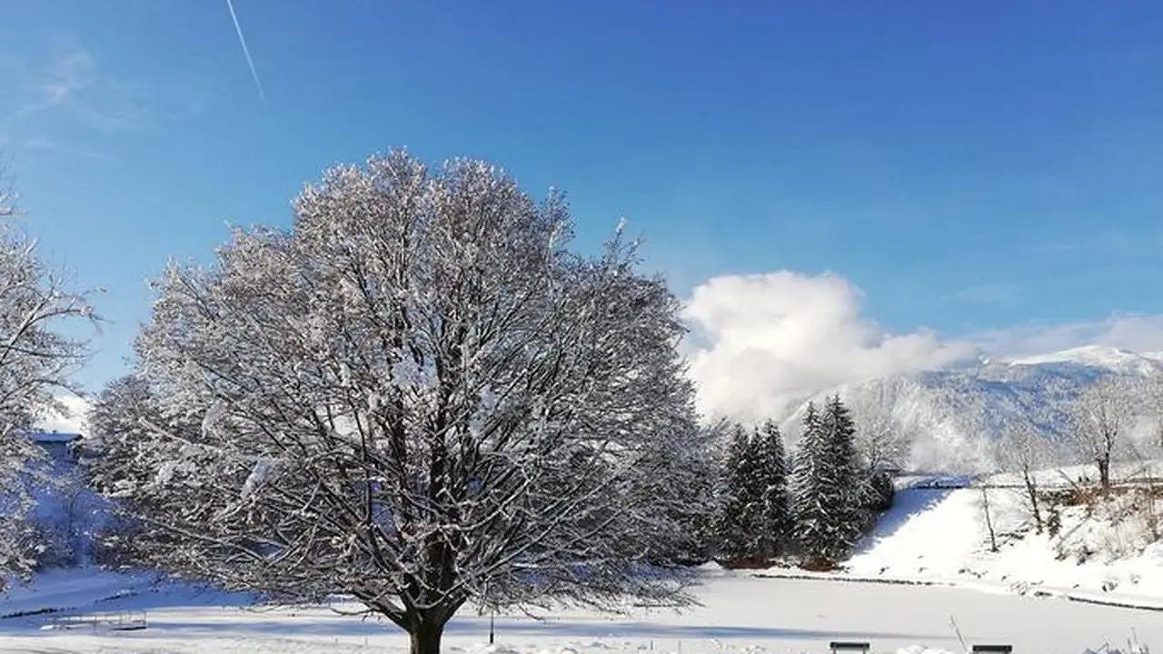 Ganze Ferienwohnung, Ferienwohnung für 7 Personen (112 m²) in Reith in Reith im Alpbachtal, Kaisergebirge
