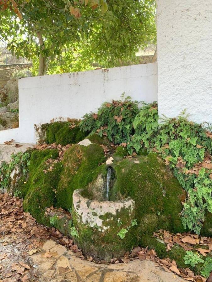 Location de vacances pour 9 personnes, avec terrasse, animaux acceptés à Cuevas del Becerro - 4