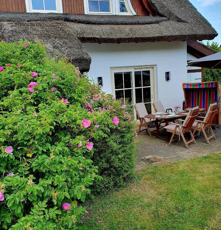 Ferienhaus für 8 Personen, mit Sauna und Garten sowie Seeblick und Ausblick in Mönchgut-Granitz - 4