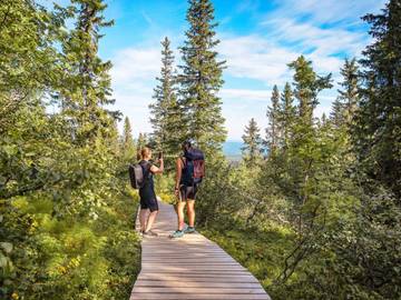 Ferienhaus für 12 Personen in Idre, Älvdalen und Umgebung, Bild 4