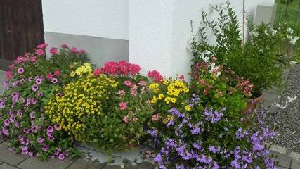 Vacation Apartment for 6 Guests in Au, Allgäu alps (Austria), Picture 4