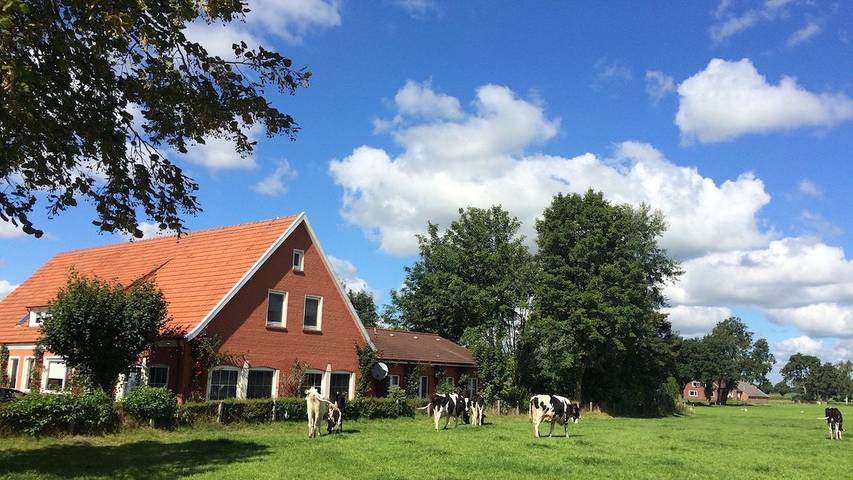 Ferienhaus für 10 Personen, mit Terrasse und Garten sowie Sauna und Whirlpool in Rhauderfehn