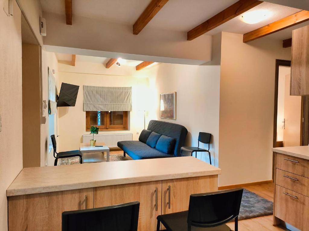 Entire apartment, Central Economy Residence in Metsovo Town, Ioannina region