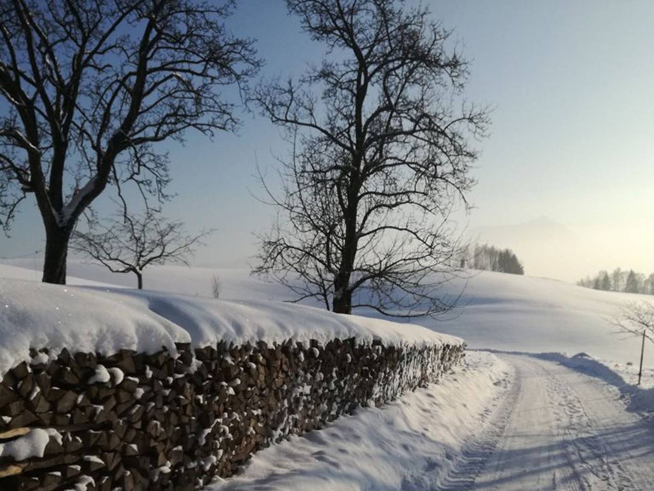 Bio Bauernhof Mondsee Schafleitner-Kroiß - Bio living Waldblick Zimmer mit Küche in Mondsee & Irrsee