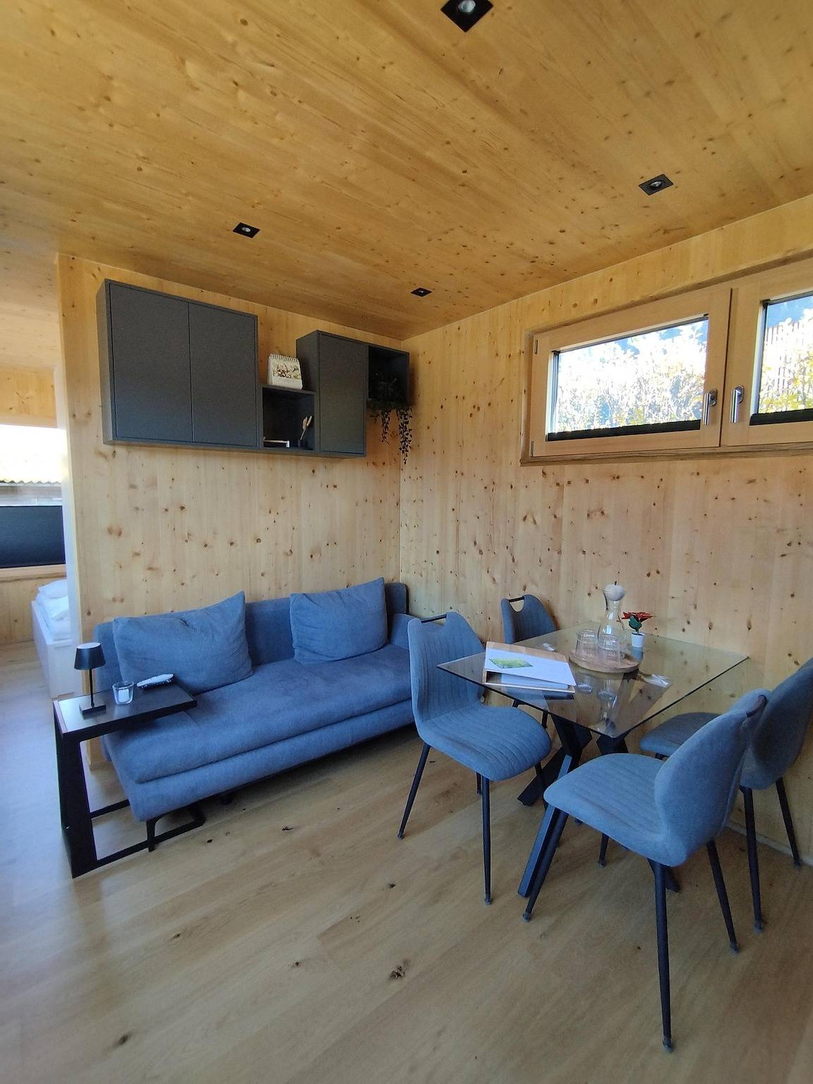 Entire holiday apartment, Holiday home, shower and bath, toilet, terrace in Tux Alps, Pill