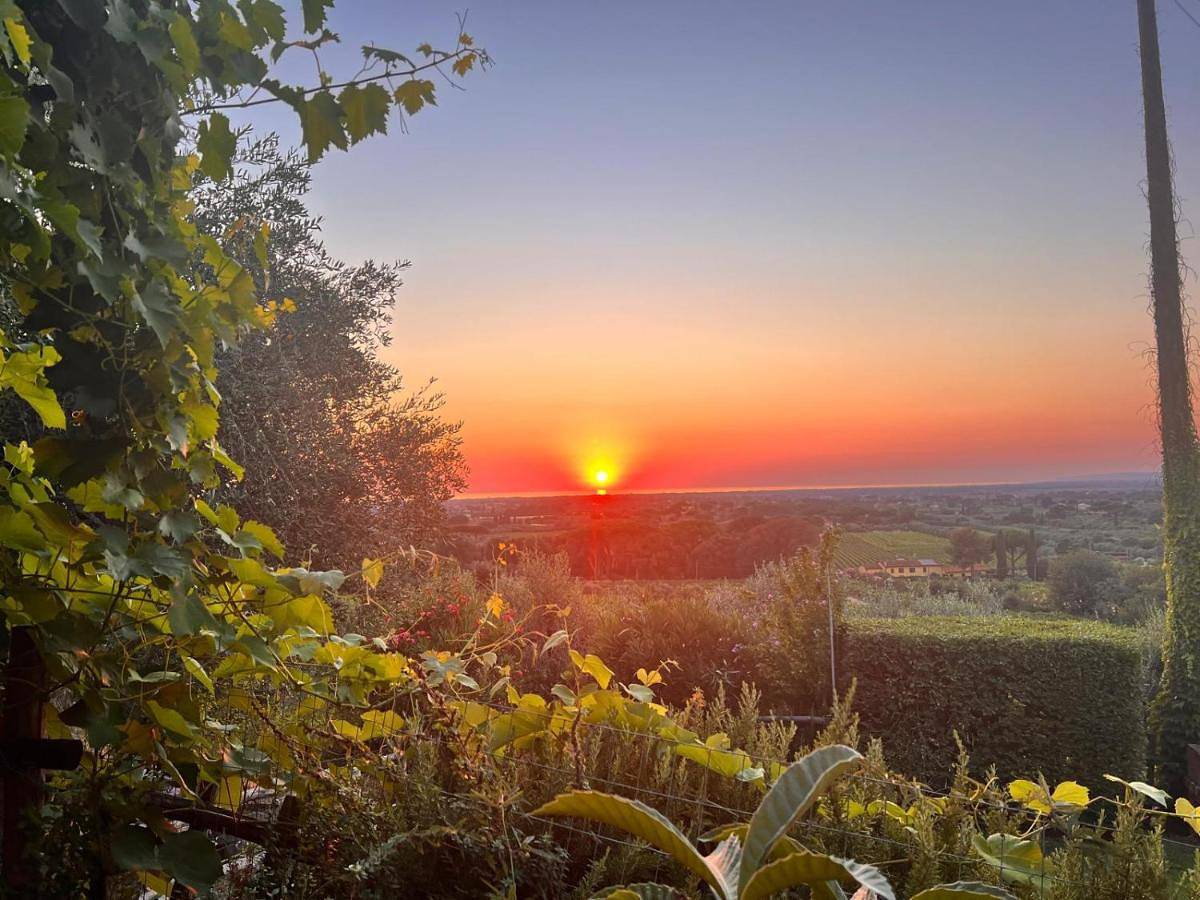 Agriturismo Villa Carducci in Castagneto Carducci, Etruskische Küste