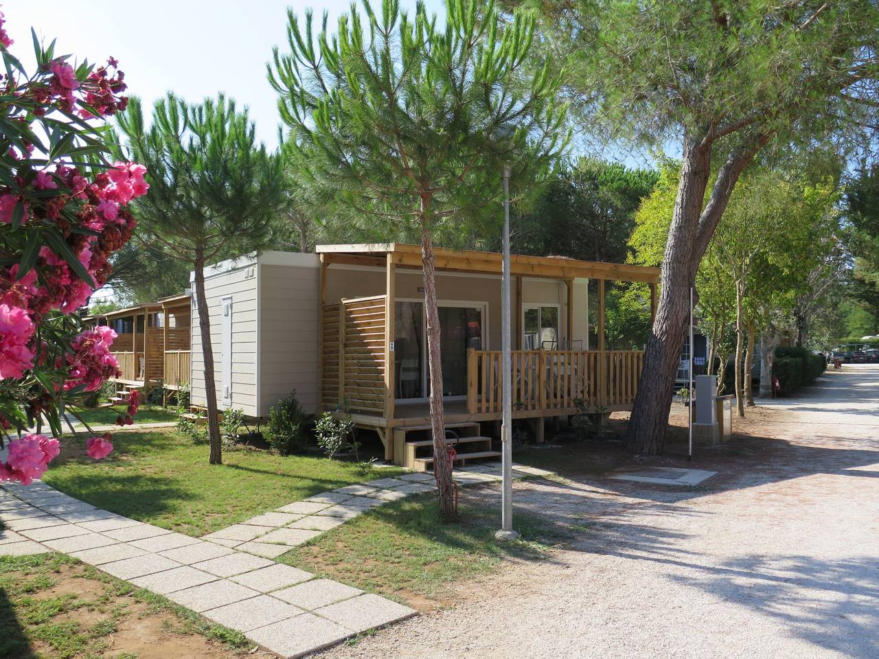 Campeggio del Forte in Marina di Bibbona, Bibbona