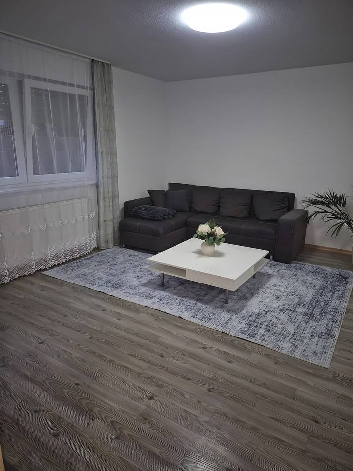 Hel lägenhet, Apartment 'Fewo Kern' with Wi-Fi in Viernheim, Bergstraße