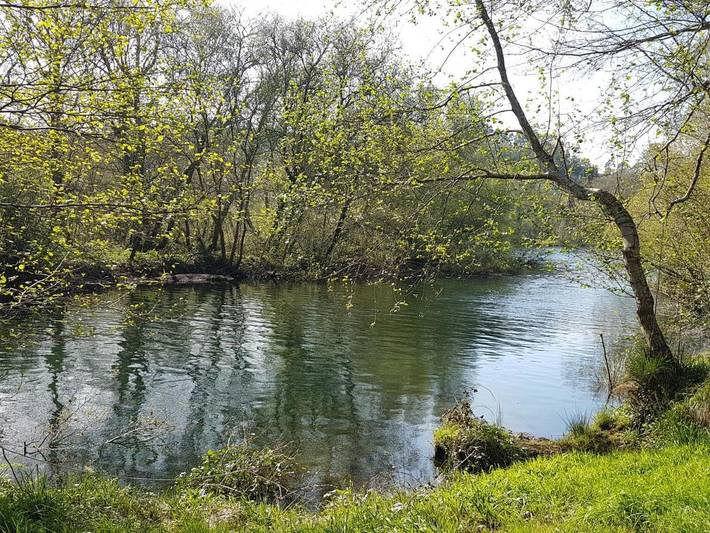 Location de vacances pour 18 personnes, avec piscine et vue sur le lac ainsi que jardin et vue à Pontevedra - 2