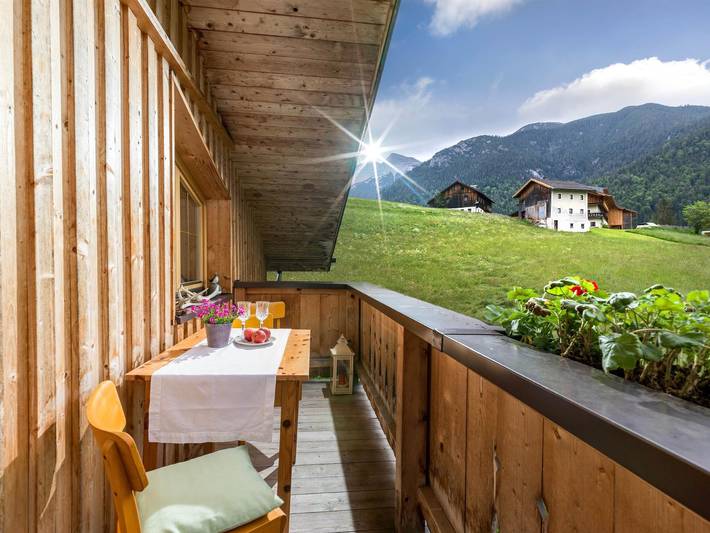 Ganze Ferienwohnung, Ferienwohnung Gasteiger - Ferienwohnung in Steinberg am Rofan, Kaisergebirge