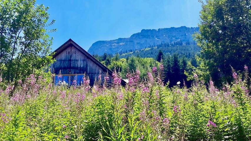 Gîte pour 15 personnes, avec sauna et jacuzzi à Thorens-Glières
