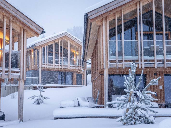 Vakantiewoning voor 10 personen, with zwembad and balkon as well as sauna in Haus