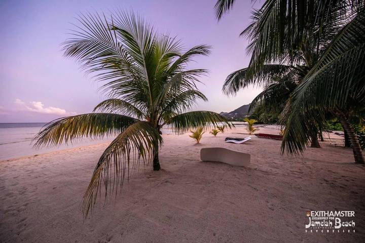 Maison d’hôte pour 3 personnes, avec vue et jardin, animaux acceptés dans Mahé - 4