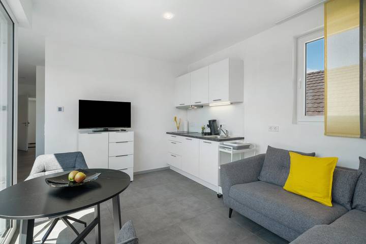 Hel lägenhet, Apartment 'Katharinenbergblick' with Balcony and Wi-Fi in Endingen am Kaiserstuhl, Endingen