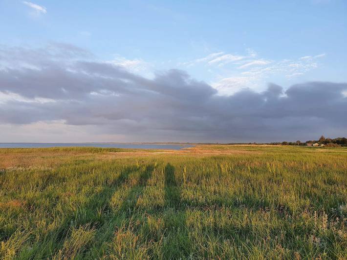 Ferienhaus für 14 Personen, mit Pool und Terrasse, mit Haustier in St. Sjørup - 4