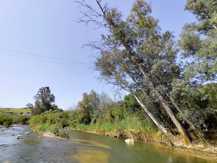 Chalet para 10 personas, con jardín además de piscina y terraza en Provincia de Málaga - 3