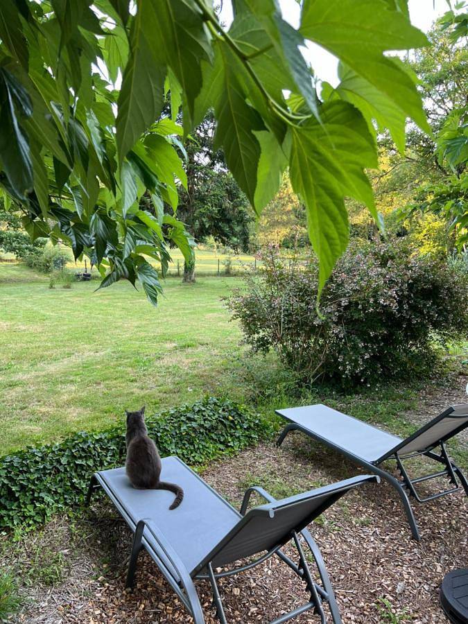 Laguillotte in Seignosse, Côte d’Argent