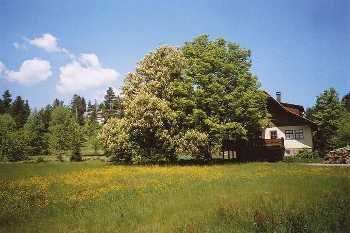 Ferienwohnung für 4 Personen, mit Garten in Kniebis - 3