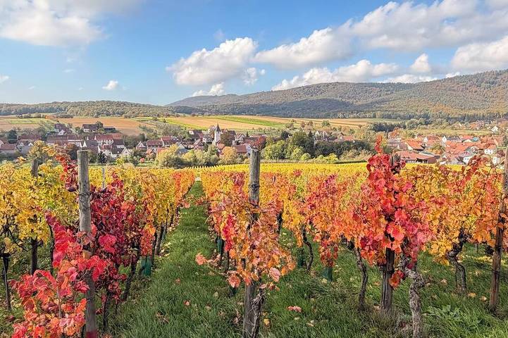 Maison de vacances pour 4 personnes, avec jardin - 1