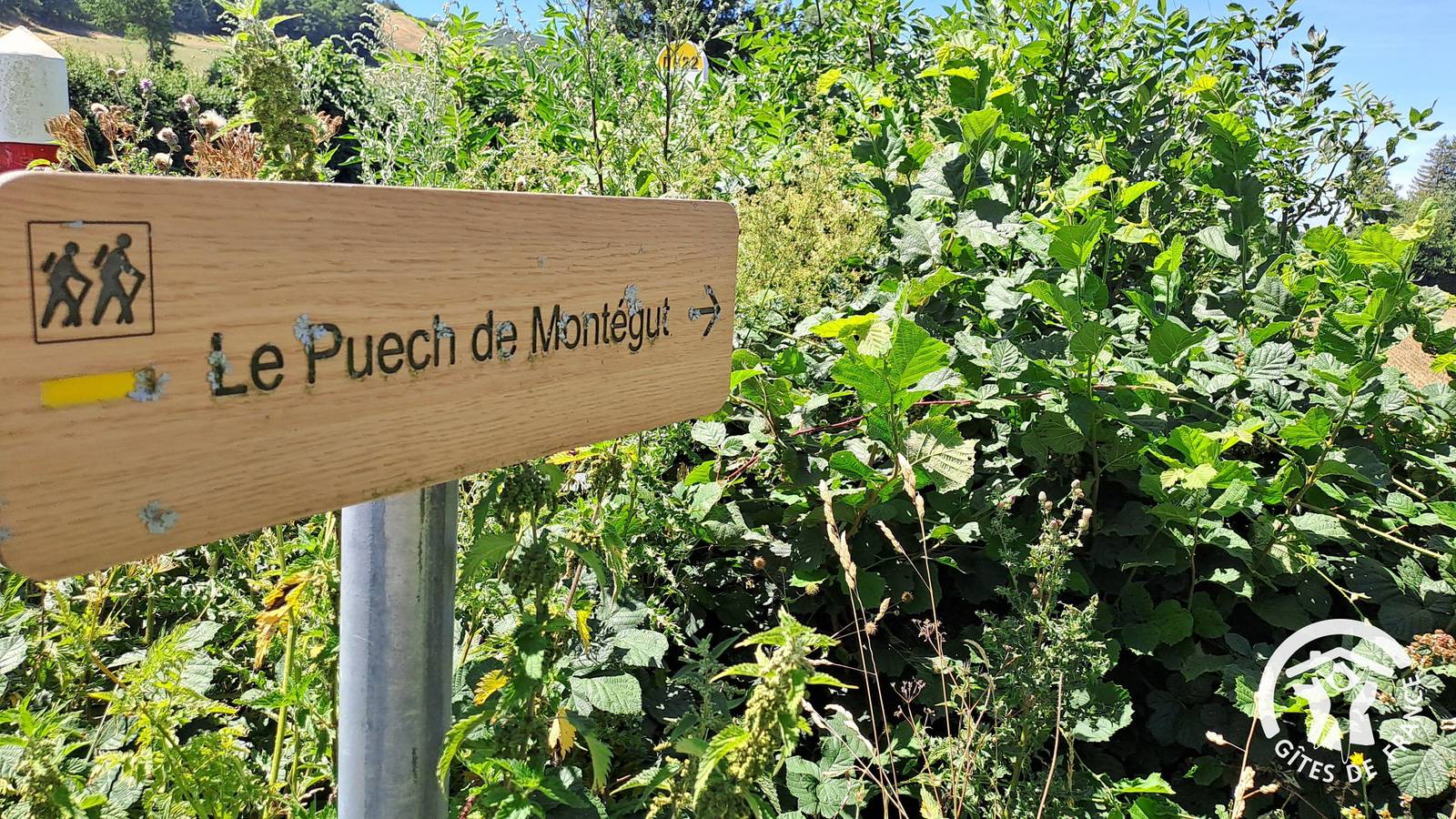 Montaigut in Murat-sur-Vèbre, Lacaune region