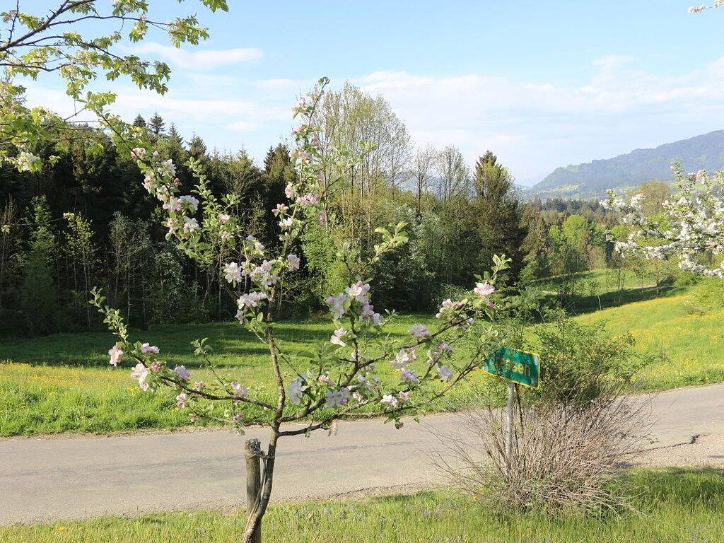 Familie Monika Sutter in Weiler-Simmerberg, Bayerisch Schwaben