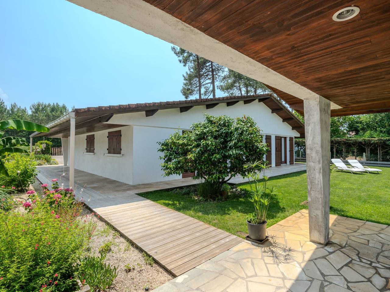 Roitelet in Mimizan, Côte d’Argent