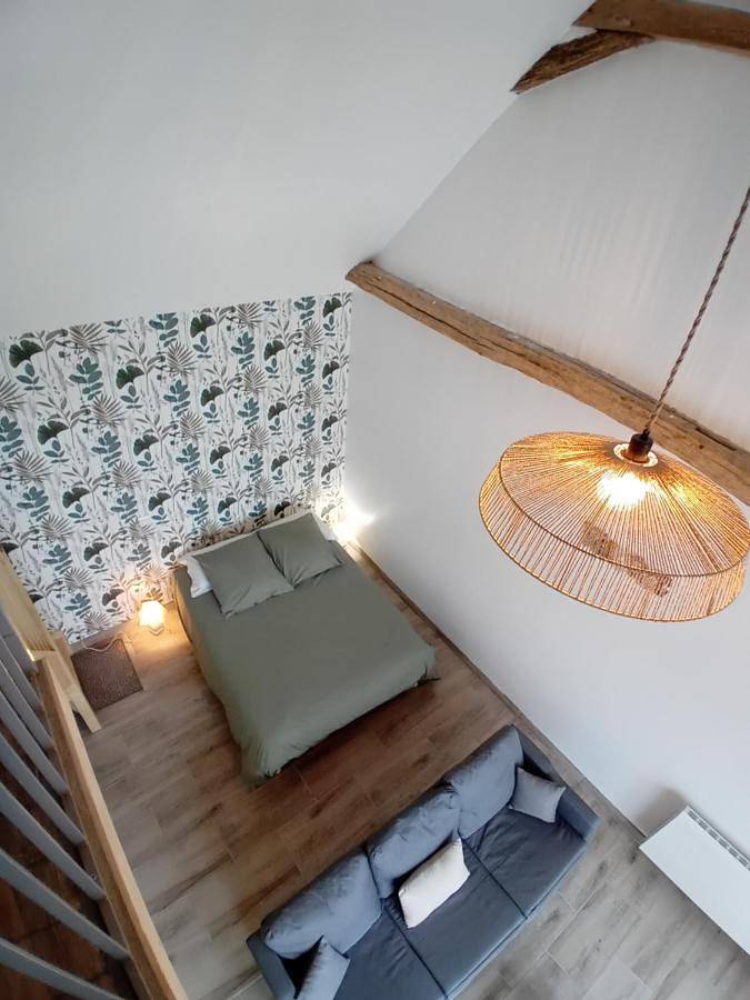 Double Room with Private Bathroom in Channay-sur-Lathan, Région de Tours