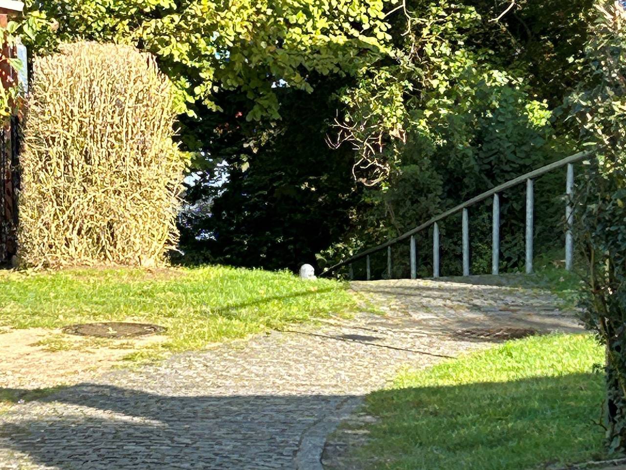 Haus Seetreppe - Haus Seetreppe in Göhren-Lebbin, Fleesensee