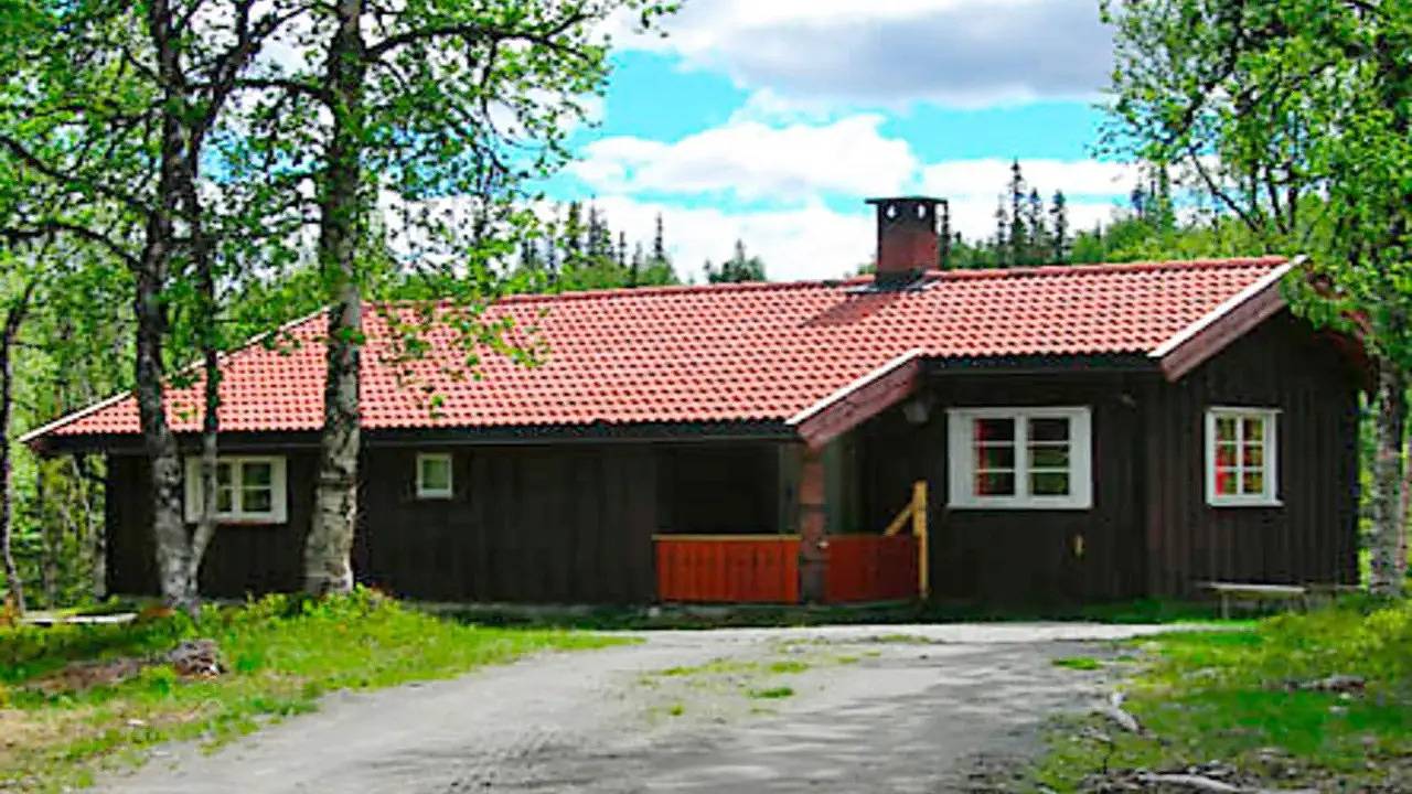 Ferienhaus für 6 Personen (75 m²) in Nesbyen in Nesbyen