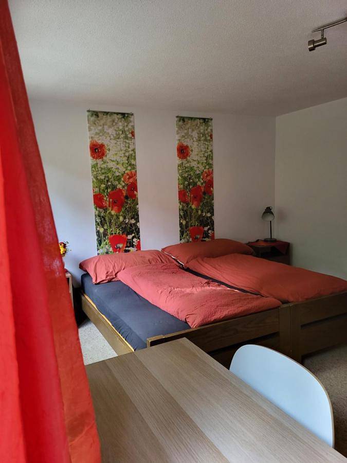 Ganze Wohnung, Ferienhaus Bärschwendi in Lungern, Thun - Interlaken & Umgebung