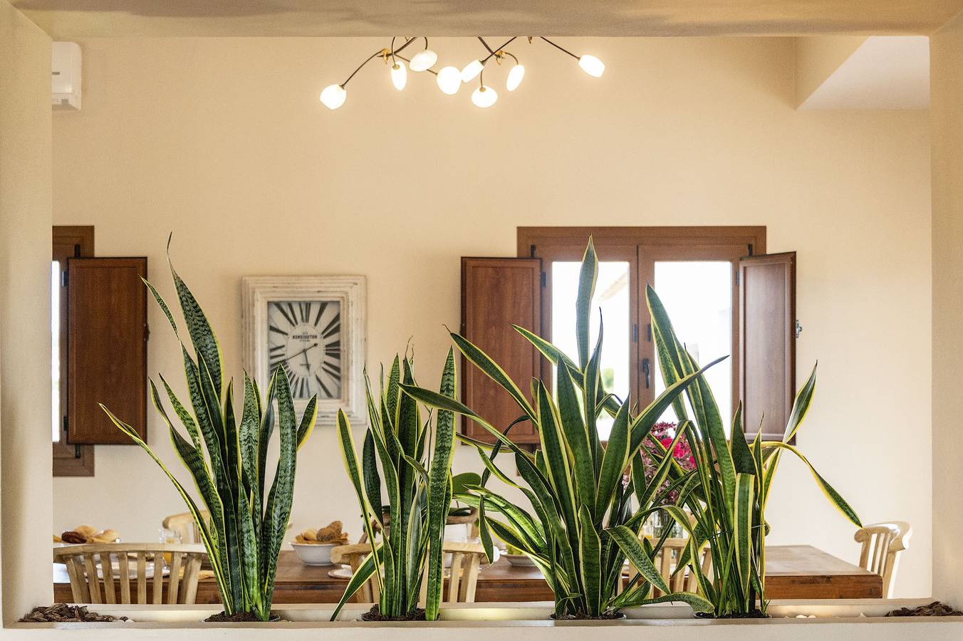 Villa Can Jaume Arabí de Baix in Puig d'en Valls, Santa Eulària des Riu