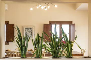 Villa in Santa Eulària des Riu, Ibiza Osten für 8 