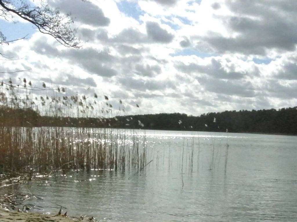 Ganze Wohnung, Ferienhaus mit 1 Schlafzimmer in Lychensee, Lychen